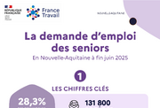Les chiffres clés des demandeurs d'emploi seniors - 1ER SEMESTRE 2025